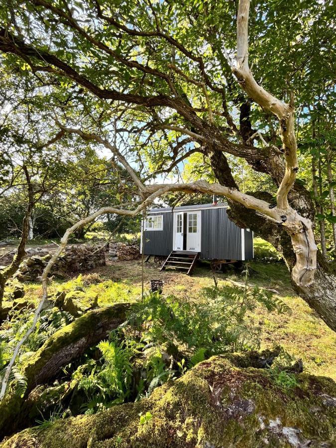 The Hazel Hut Villa Westport Exteriör bild