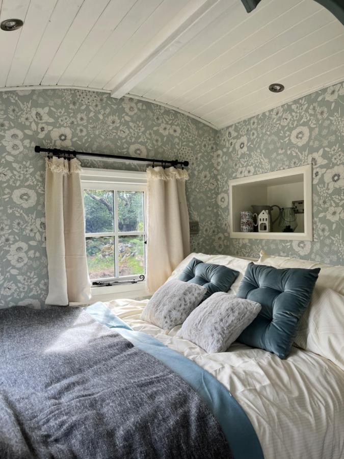The Hazel Hut Villa Westport Exteriör bild